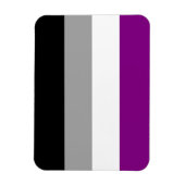 Aseksuele Pride Flag Magneet (Verticaal)