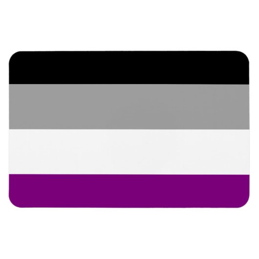 ASEKSUELE VLAG ORIGINEEL - PNG.NL MAGNEET (Horizontaal)