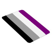 ASEKSUELE VLAG ORIGINEEL - PNG.NL MAGNEET (Rechterzijde)
