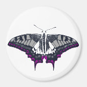 Asexual Flag Swallowtail Butterfly Magneet (Voorkant)