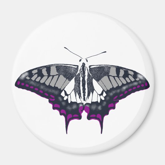 Asexual Flag Swallowtail Butterfly Magneet (Voorkant)