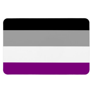 ASEXUAL VLAG ORIGINEEL -.png Magneet