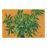 Ash-boom, groene bladeren, geel schilderen