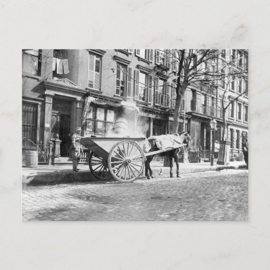 Ash Cart New York 1896 Briefkaart (Voorkant)