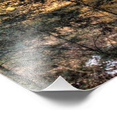 Ash Cave Herfsten, Hocking Hills, Ohio Foto Afdruk (Hoek)