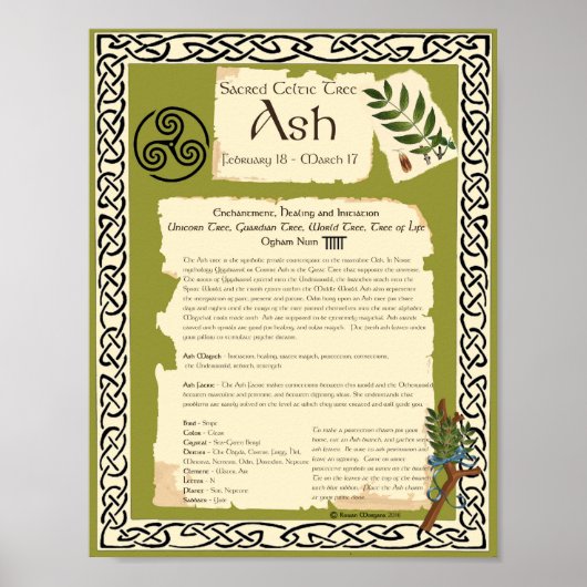 ASH CELTIC SACRED TREE POSTER (Voorkant)