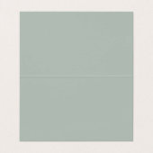 Ash Gray Modern Minimalist Plain Visitekaartjes (Binnenkant ongevouwen)