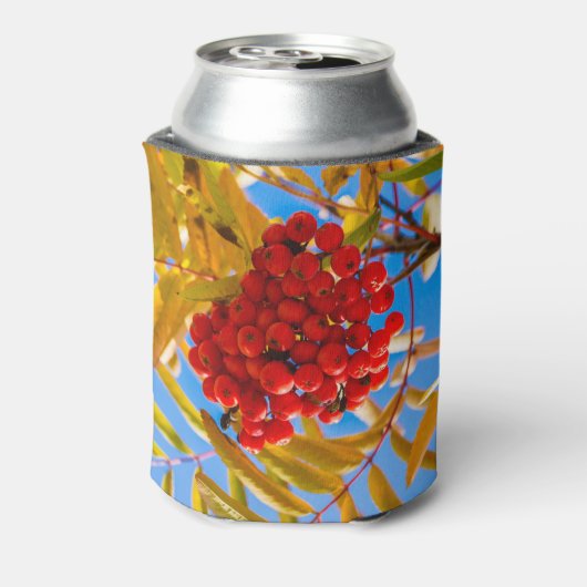 Ashberry Blikjeskoeler (Blikje Achterkant)