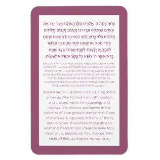 Asher Yatzar Hebrew Blessing Dusty Pink Poster Magneet