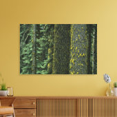 Ashland, Rogue RIver National Forest Canvas Afdruk (Insitu (Woonkamer))