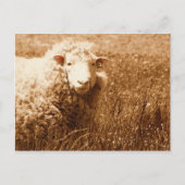 Ashley in Sepia Briefkaart (Voorkant)