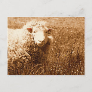 Ashley in Sepia Briefkaart