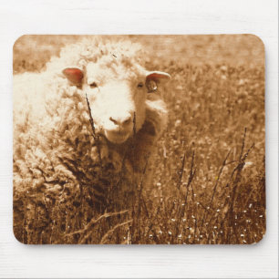 Ashley in Sepia Muismat