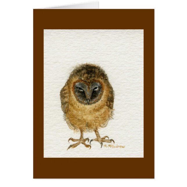 Ashy Faced Barn Owl (Voorkant)