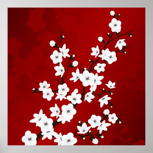 Asia Floral White Cherry Blossom Red Poster (Voorkant)