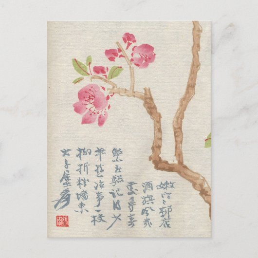 Asian Cherry Blossom  Briefkaart (Voorkant)