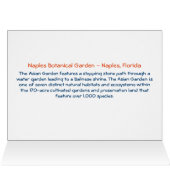 Asian Garden - Napels Botanical Garden Napels, FL (Binnen Horizontaal (Boven))