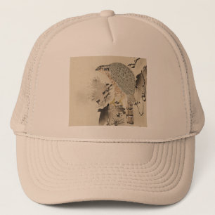 Asian Goshawk - 1890 Trucker Pet