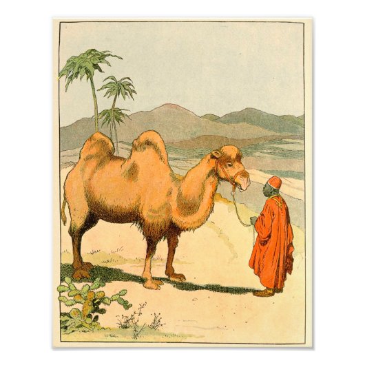 Asian Two Hump Camel Foto Afdruk (Voorkant)