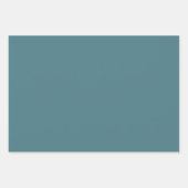 Asiatic Kingfisher Inpakpapier Vel (Voorkant 3)