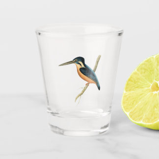 Asiatic Kingfisher Shot Glas