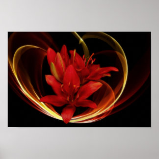 Asiatic Lilies Print