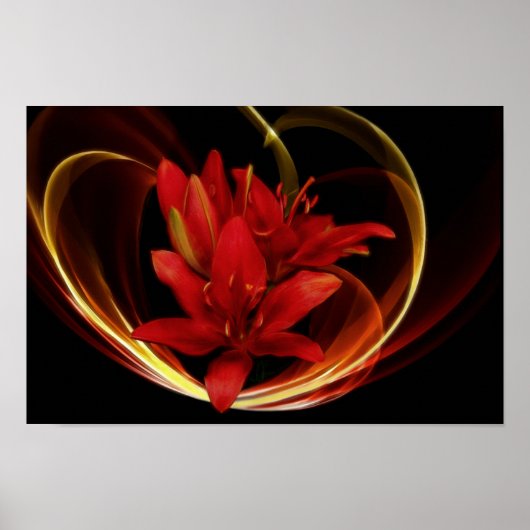 Asiatic Lilies Print (Voorkant)