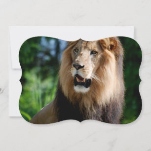 Asiatic Lion of Iran Kaart