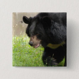 Asiatisch zwart Beer Vierkante Button 5,1 Cm