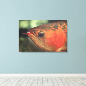 Asiatische arowana canvas afdruk (Insitu (Houten vloer))