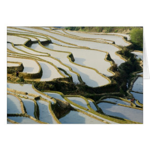 Asie, Chine, province du Yunnan, comté de Yuanyang