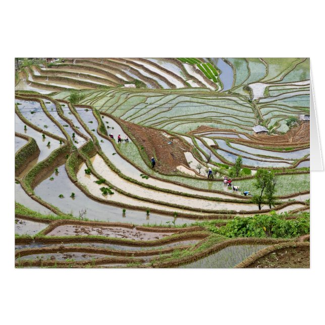 Asie, Chine, Yunnan, Jinping. Peuple Yi indigène (Devant horizontal)