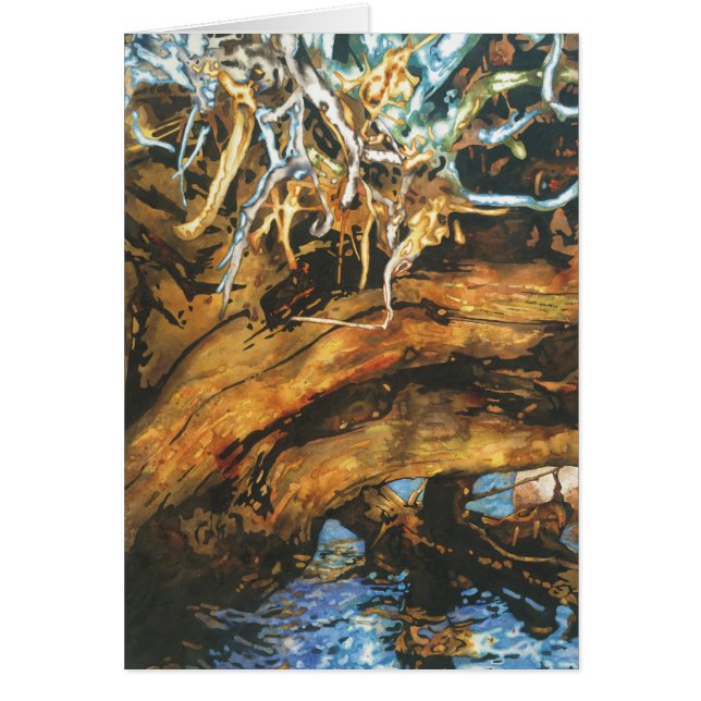 Asile de poissons (Devant)