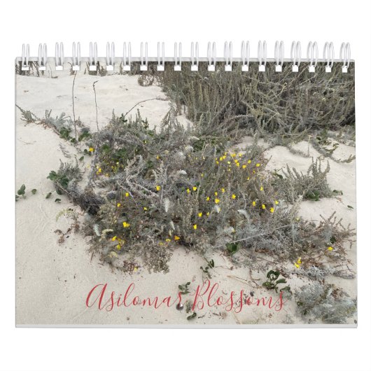 Asilomar Blossom Kalender (Hoes)