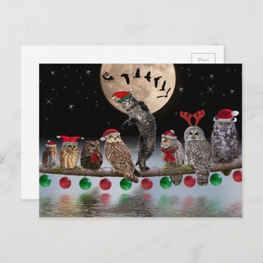 Asio die met Uilen op Kerstavond danst Feestdagenkaart (Voorkant / Achterkant)