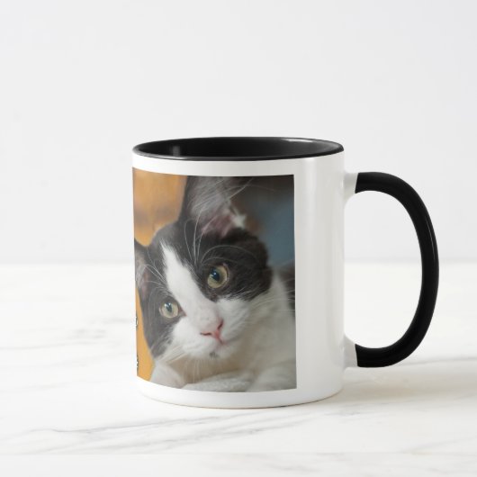 Asio- en Otis-Katten Mok (Rechts)