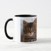 Asio- en Otis-Katten Mok (Links)