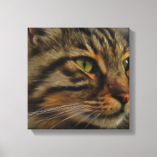 Aslan The Long Hazard Tabby Cat Canvas Afdruk