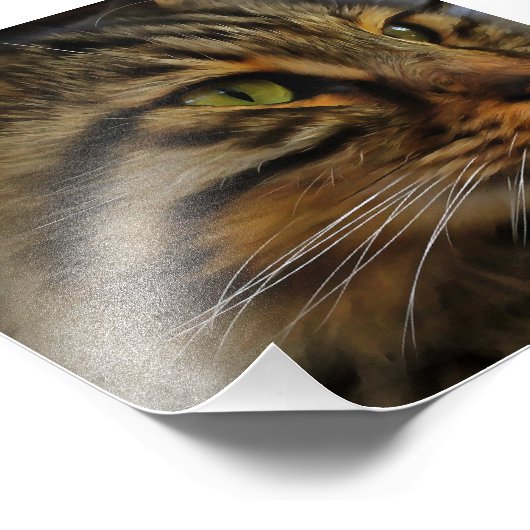 Aslan The Long Hazard Tabby Cat Foto Afdruk (Hoek)