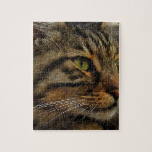 Aslan The Long Hazard Tabby Cat Legpuzzel