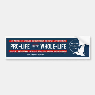 ASP-waarden bumpersticker