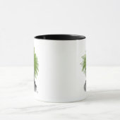 Asparagus Fern Head Plant Mok (Midden)