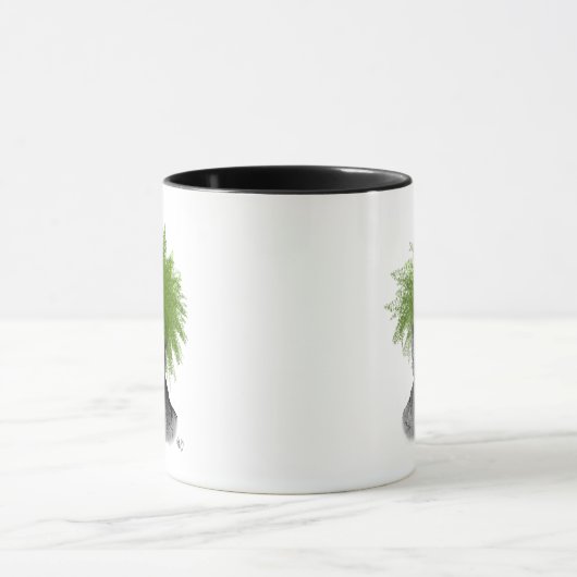 Asparagus Fern Head Plant Mok (Midden)