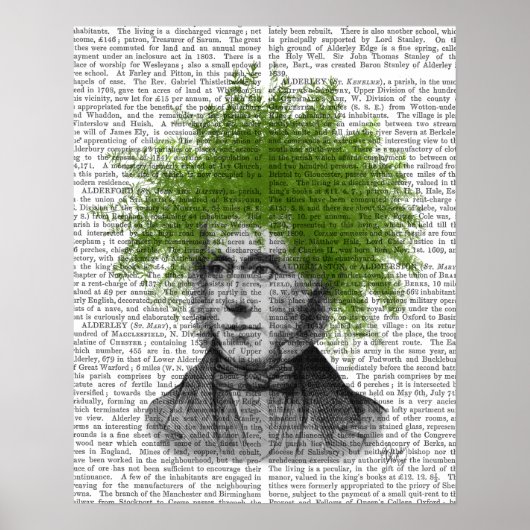 Asparagus Fern Head Plant Poster (Voorkant)