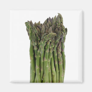 Asparagus Magnet Magneet