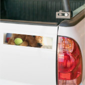 ASPCA-Hond Bumpersticker (Op Truck)