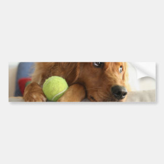ASPCA-Hond Bumpersticker
