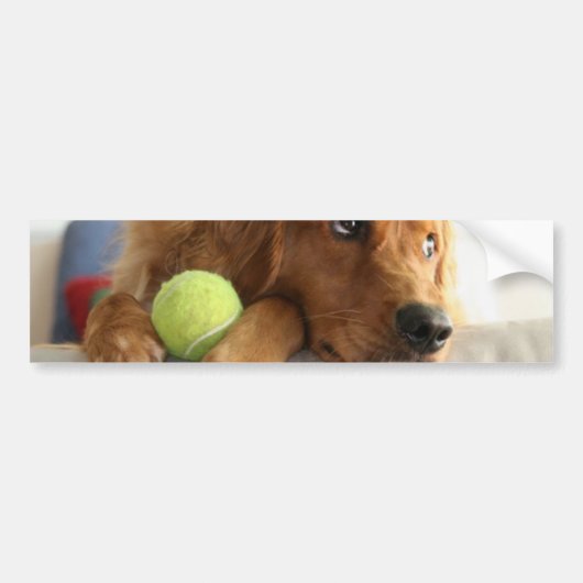 ASPCA-Hond Bumpersticker (Voorkant)