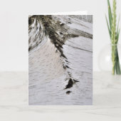 Aspen Bark Sluiten Kaart (Voorkant)