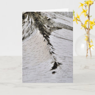 Aspen Bark Sluiten Kaart